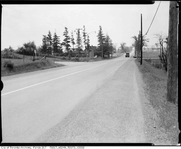 1965FinchWoodbine2_web